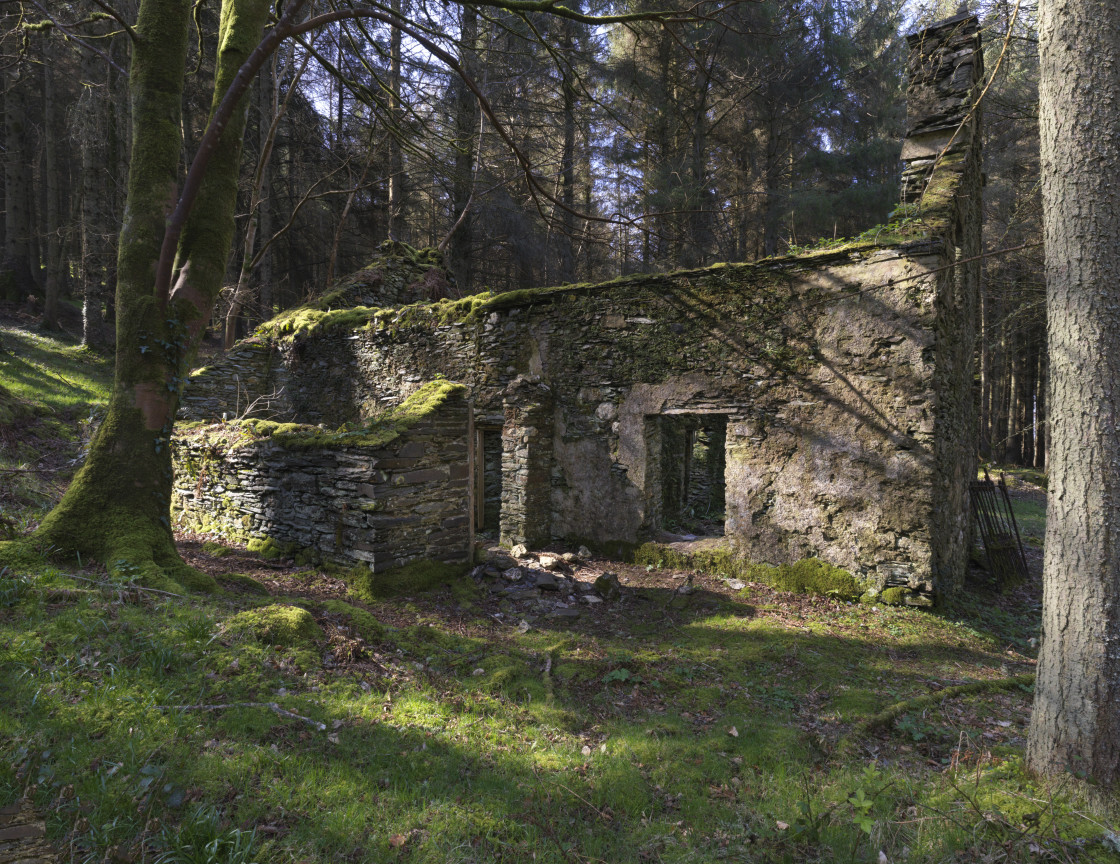 "A Manx Tholtan house in trees" stock image