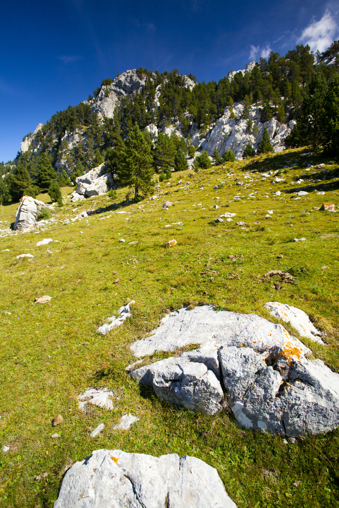 "Spain, Catalonia, Pyrenees, Serra De Moixeró." by Jason Friend - £14.99 "Spain, Catalonia, Pyrenees, Serra De Moixeró." stock image