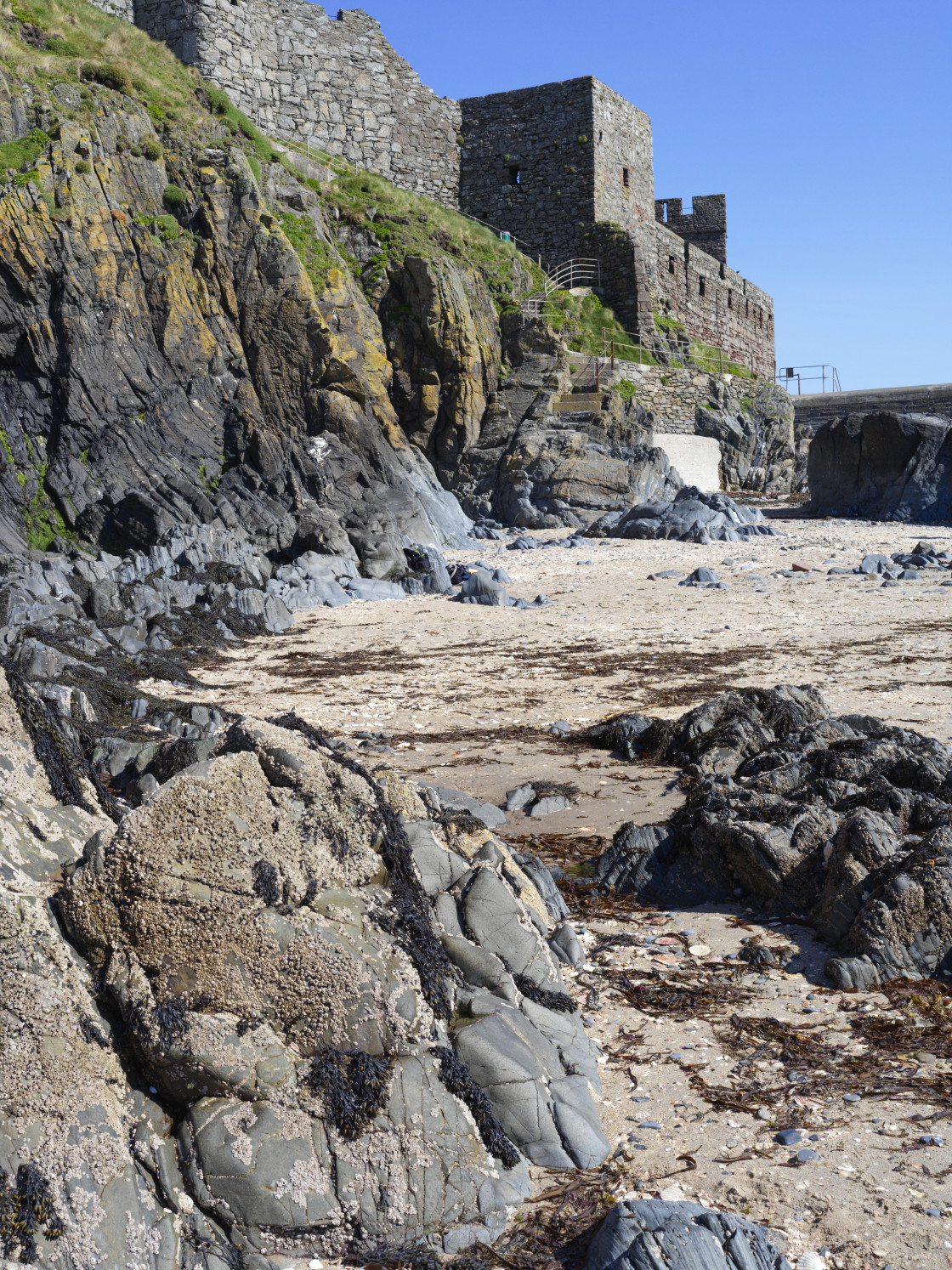 "Barnacles on rocks below Peel Castle" stock image