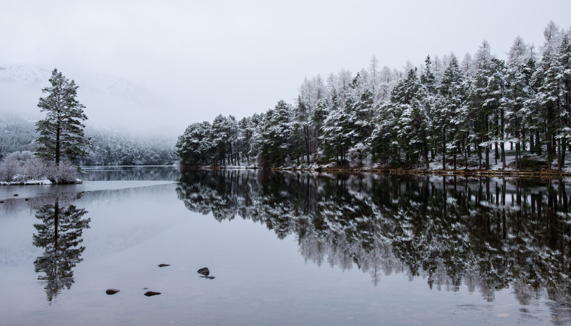 "Tree reflections in Loch an Eilein" stock image