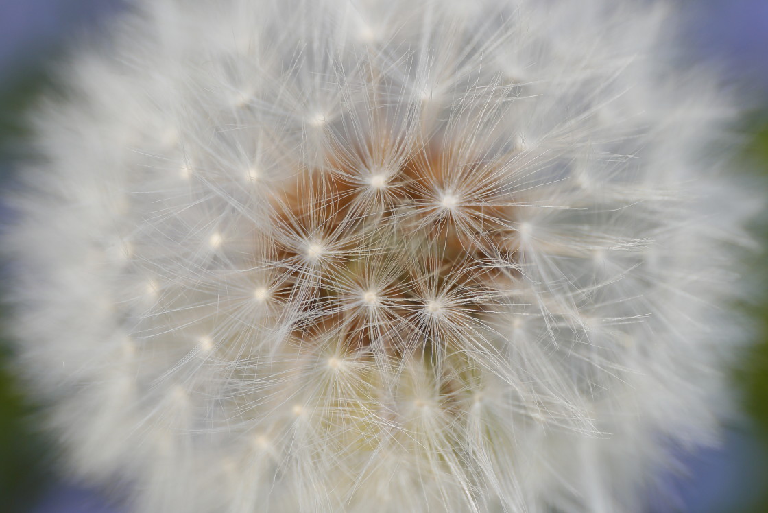 "Parachutes" stock image