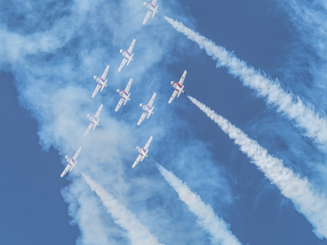 "Snowbirds" stock image