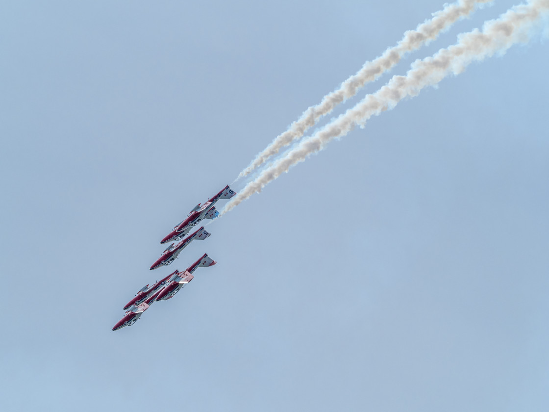 "Snowbirds" stock image