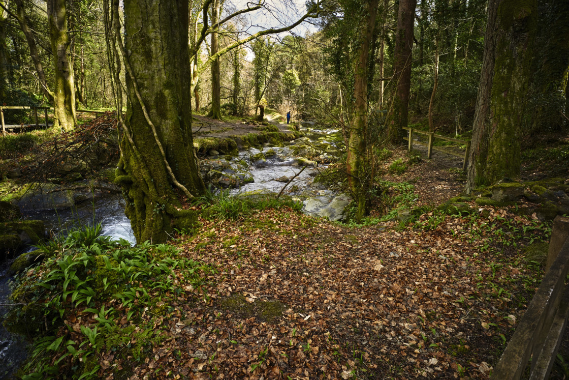 "Ballaglass Glen" stock image