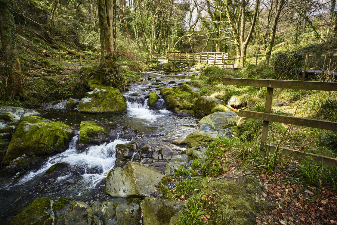 "Ballaglass Glen, Isle of Man" stock image