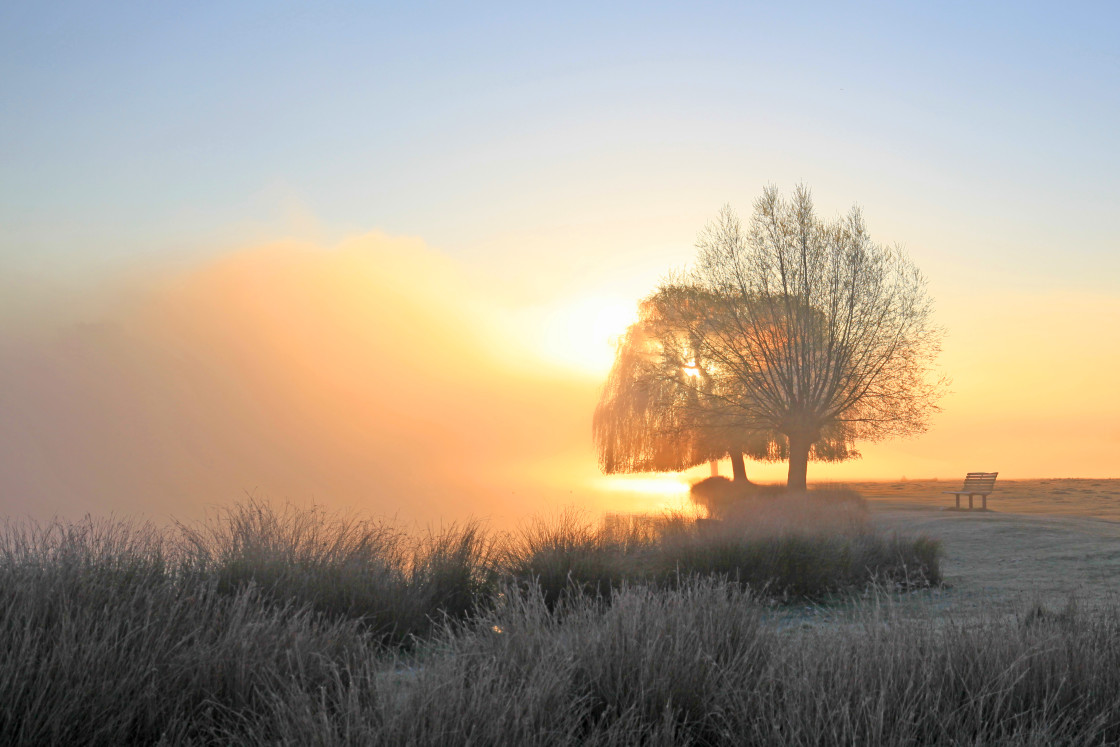 "Lonely bench at dawn" stock image