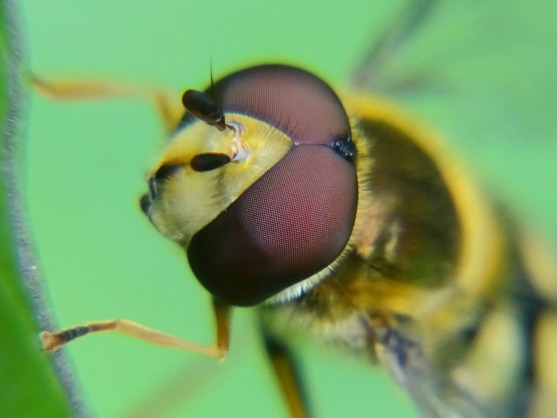 "I've got my eye on you" stock image