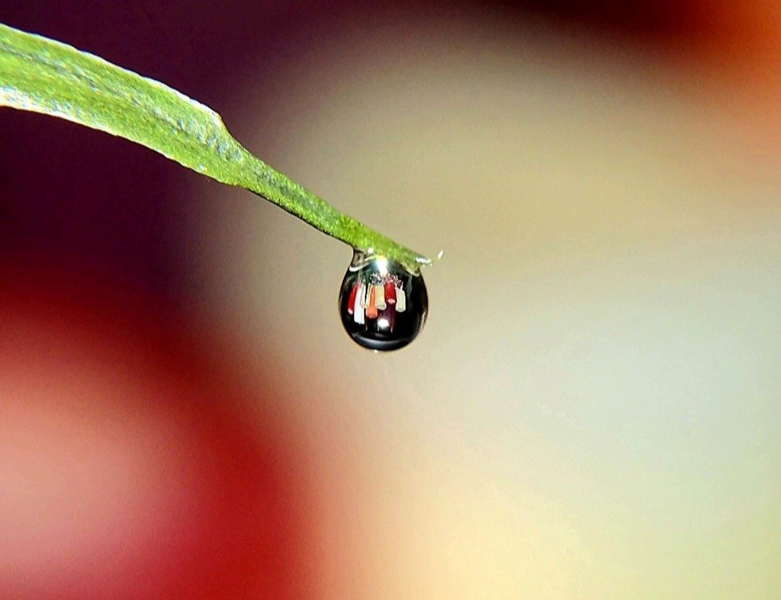 "Droplet with candles" stock image