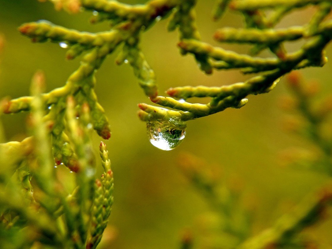 "After the storm #1" stock image