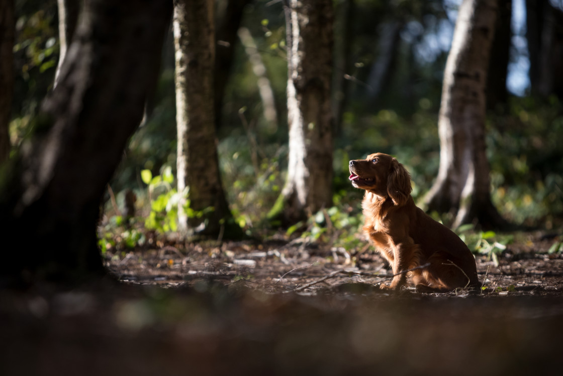 "Into the Light" stock image