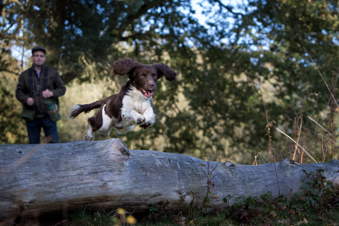 "Jump" stock image