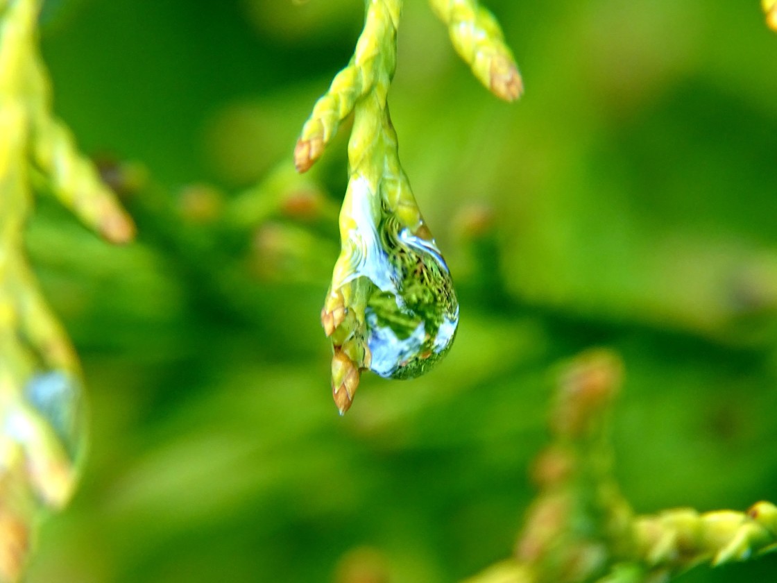 "After the storm has passed" stock image