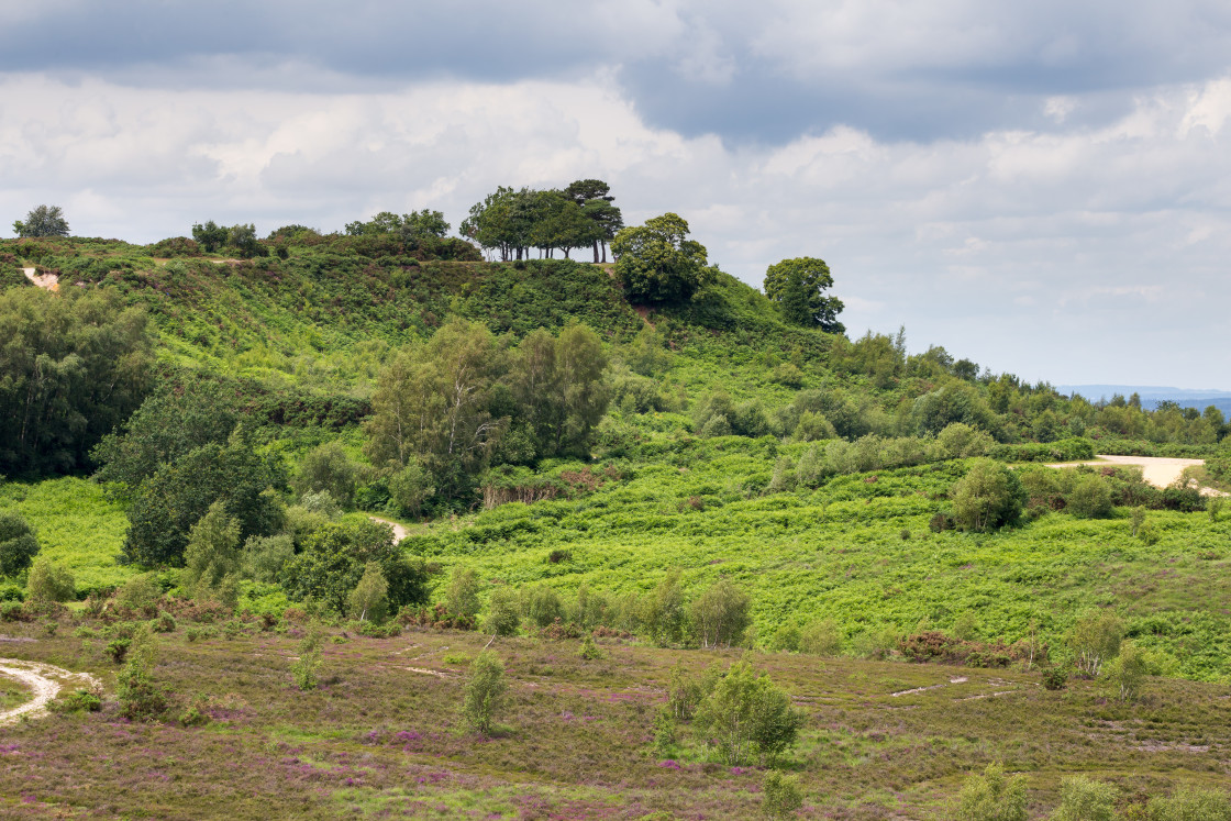 "Caesar's Camp Hill Fort" stock image