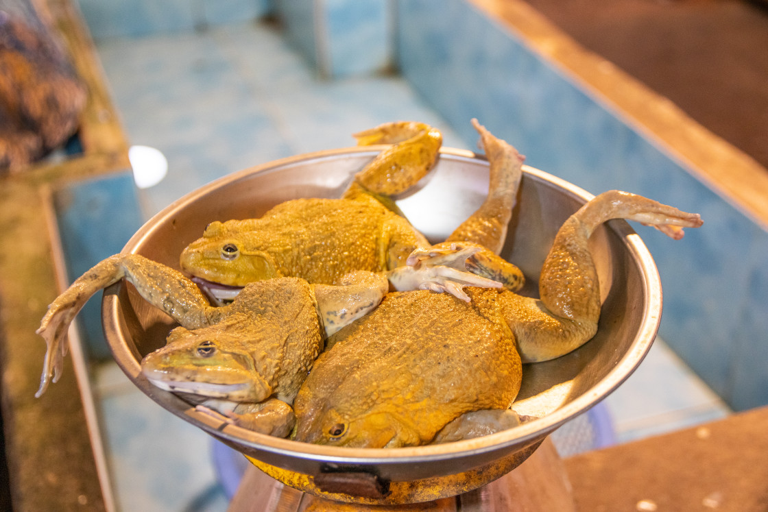 "Frogs for Sale at a Street Food Market in Thailand Southeast Asia" stock image