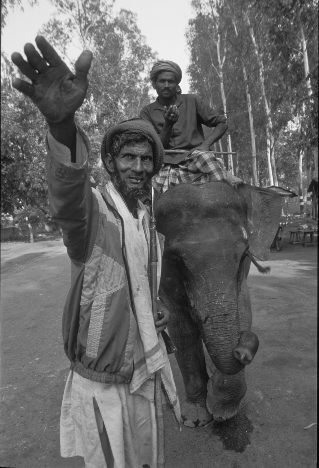 "elephant men, India" stock image