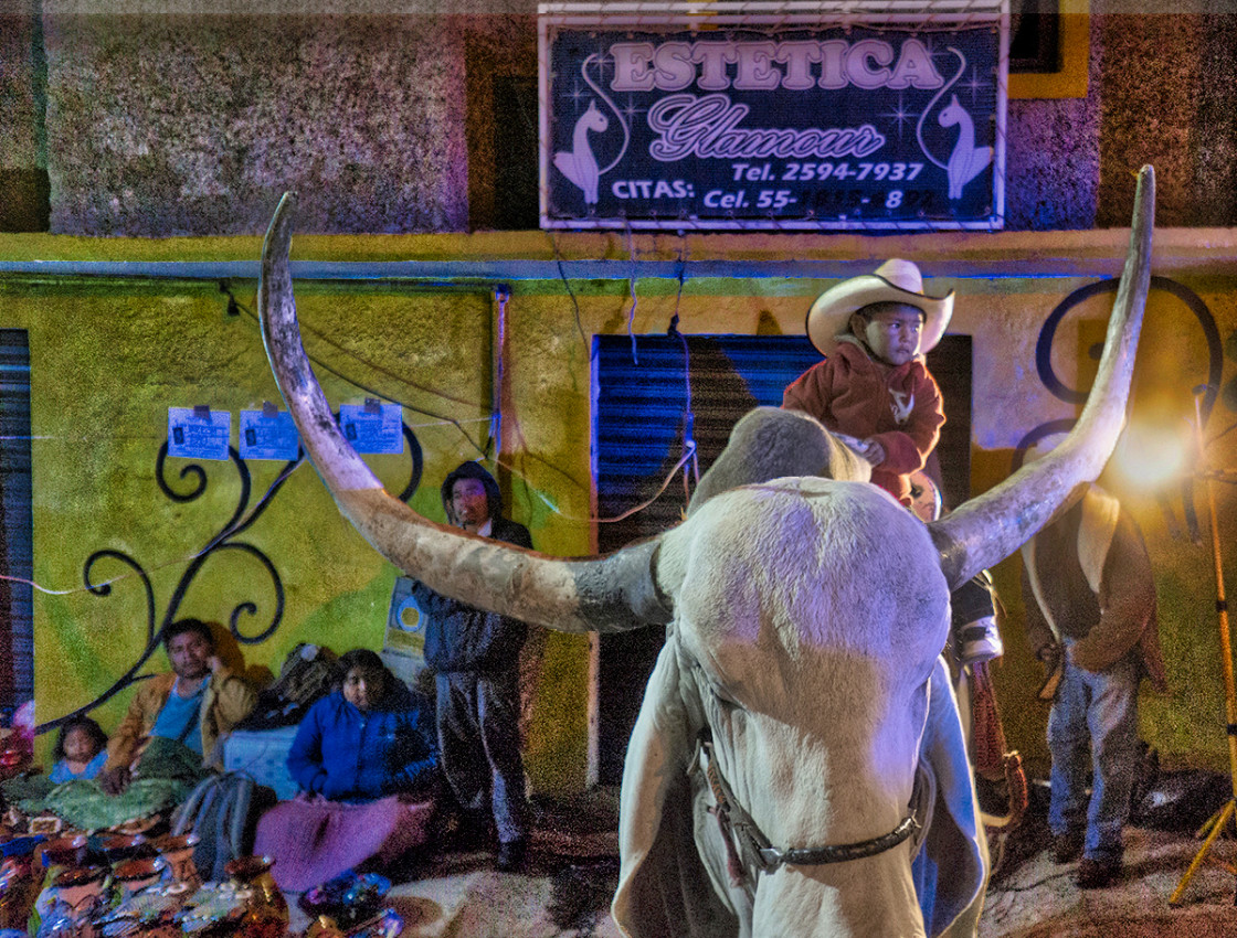 "Boy on Bull, Dia de los Muertos, Mesquite , Mexico" stock image