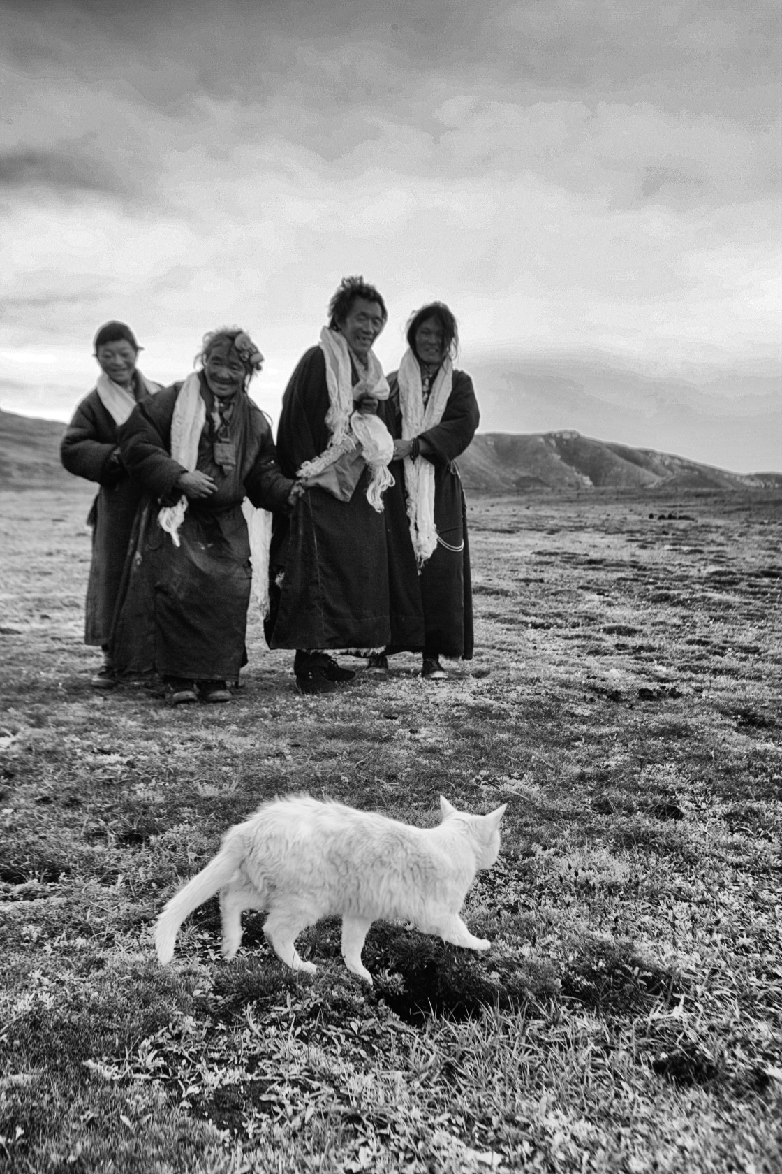 "Khampa group with katas,and white cat Nangchen, Tibet" stock image