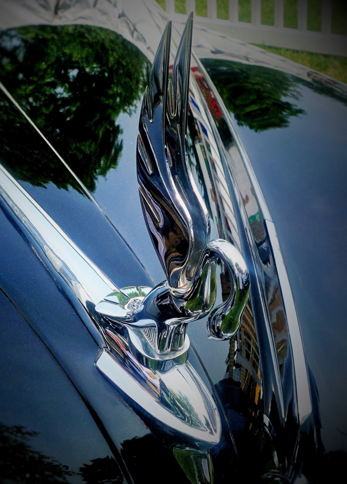 "Classic Hood Ornament" stock image