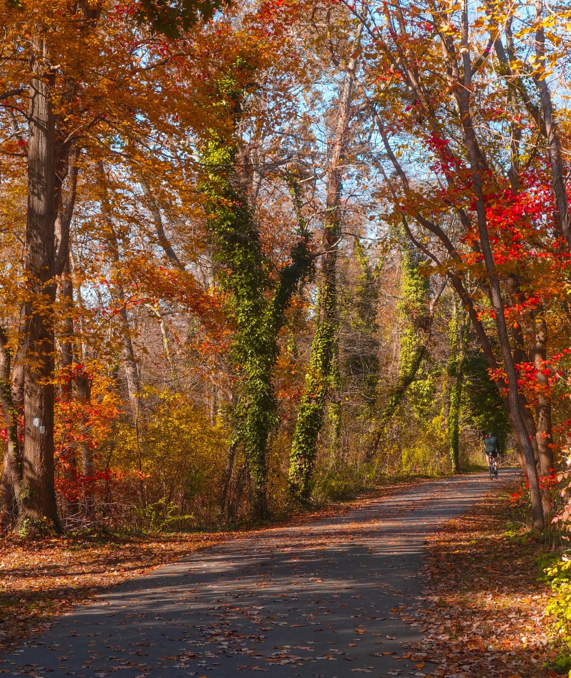 "Autumn Colors" stock image