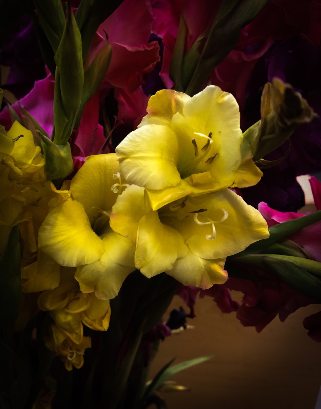 "Bouquet with Gladiolas" stock image