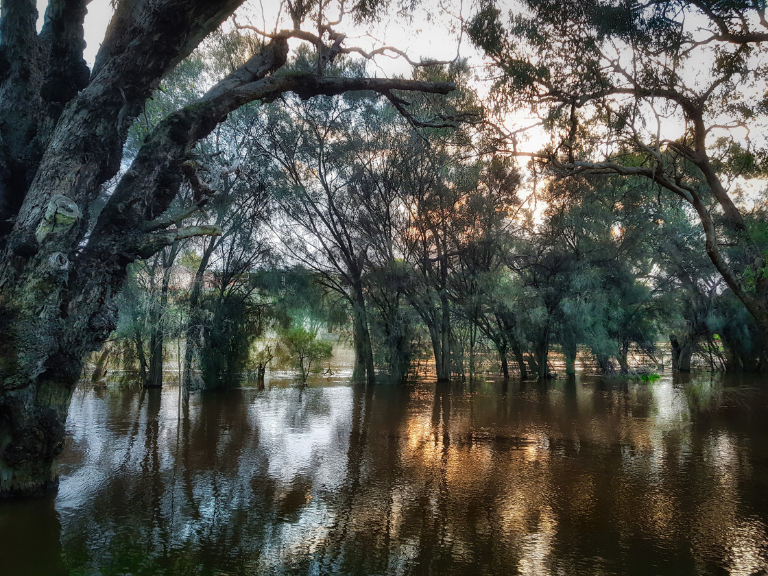 "Flooded River" stock image