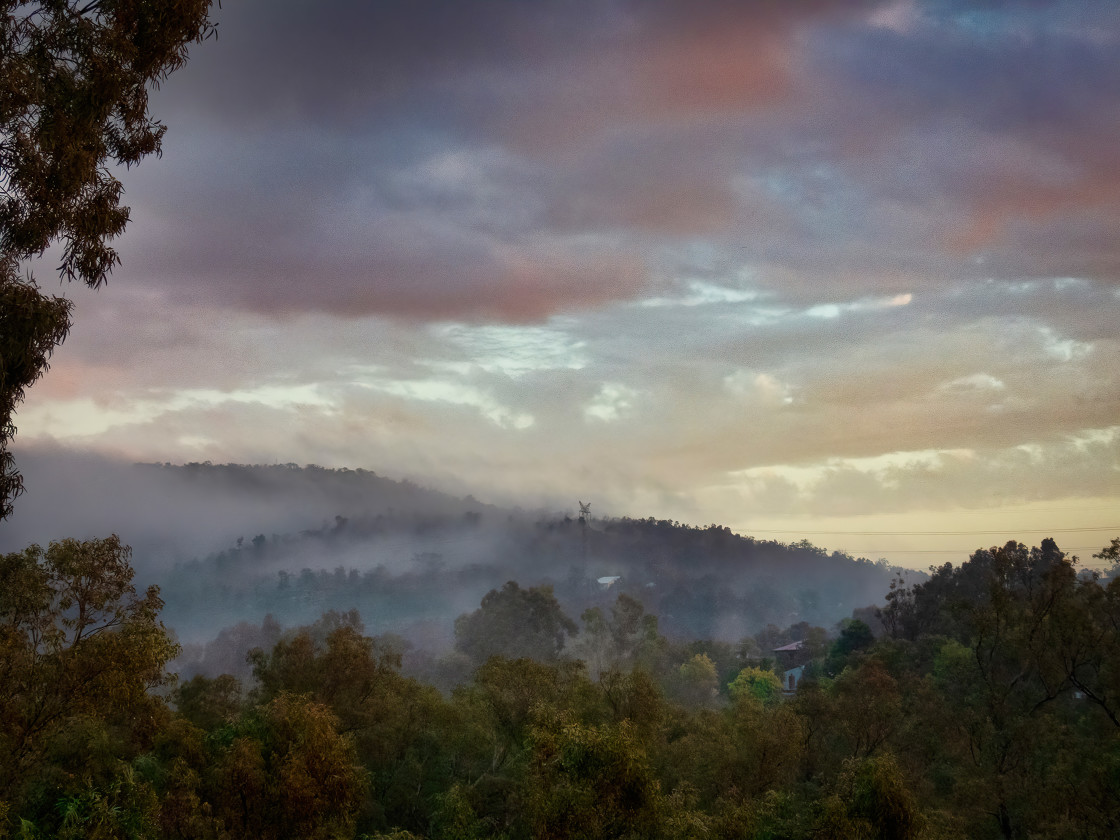 "Pink Misty Bush Sunset" stock image