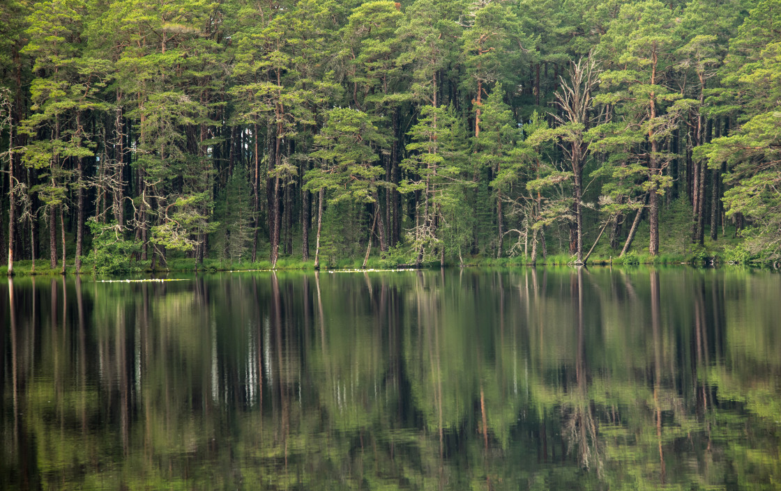 "Reflections in Loch Mallachie" stock image