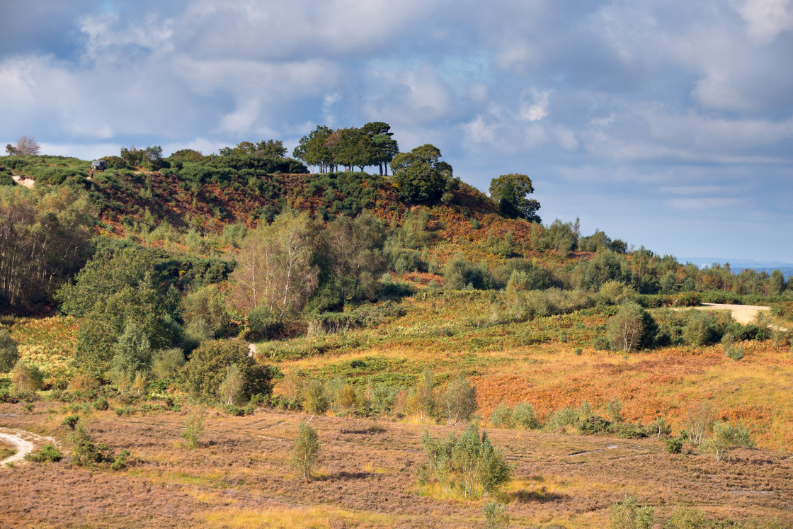 "Caesar's Camp Hill Fort Autumnal Landscape" stock image