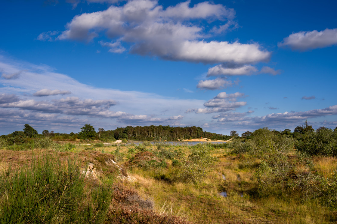 "Caesar's Camp Lake Landscape" stock image