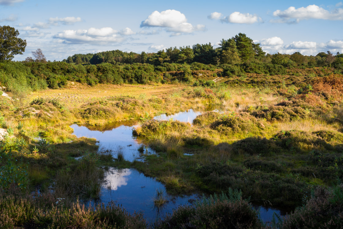 "Caesar's Camp Landscape" stock image