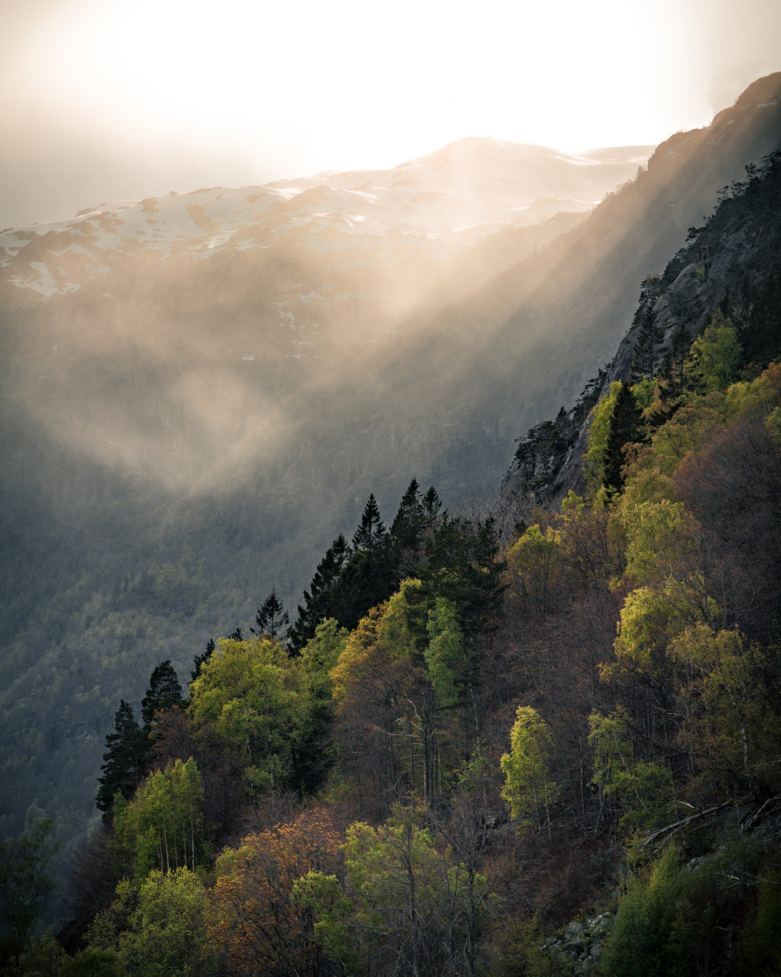 "Spring sun" stock image