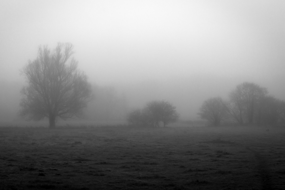"MISTY LANDSCAPE" by LYDIBERN.ART - £15.00 "MISTY LANDSCAPE" stock image