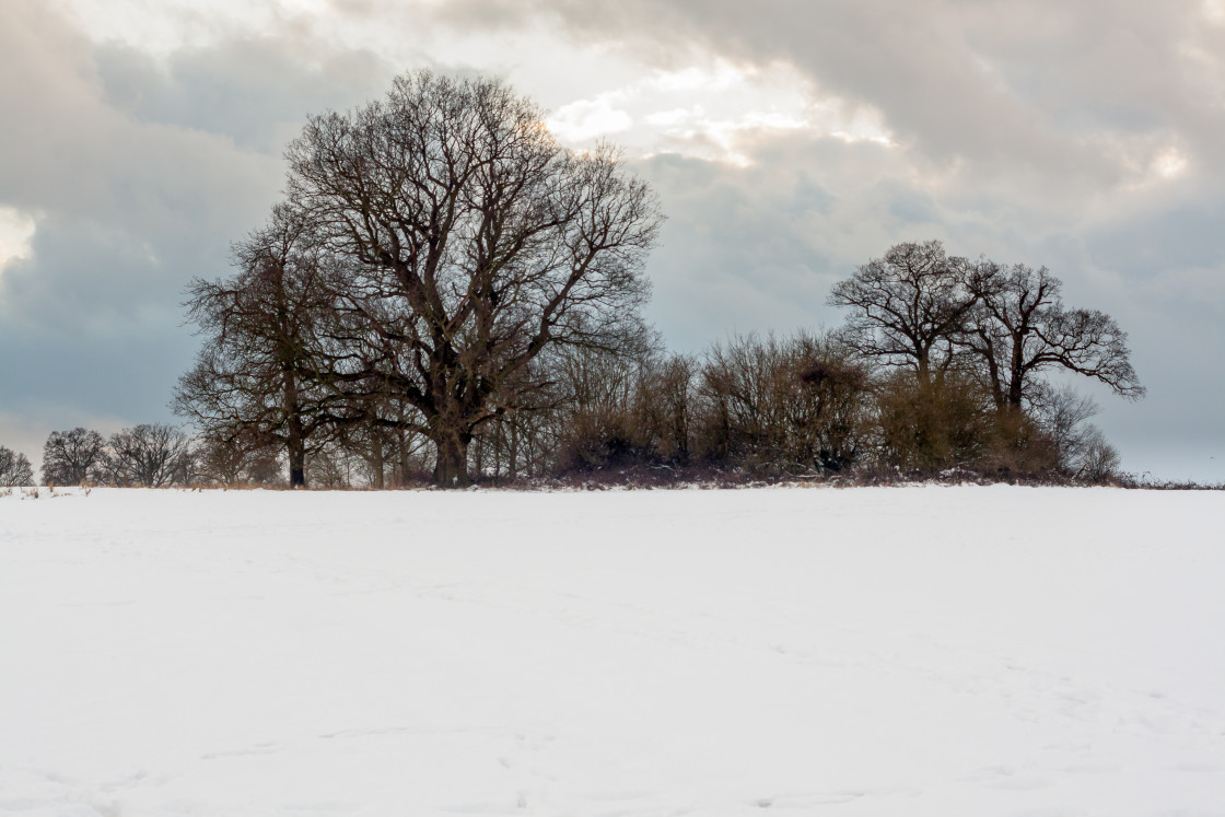 "Snow Scene Landscape" stock image