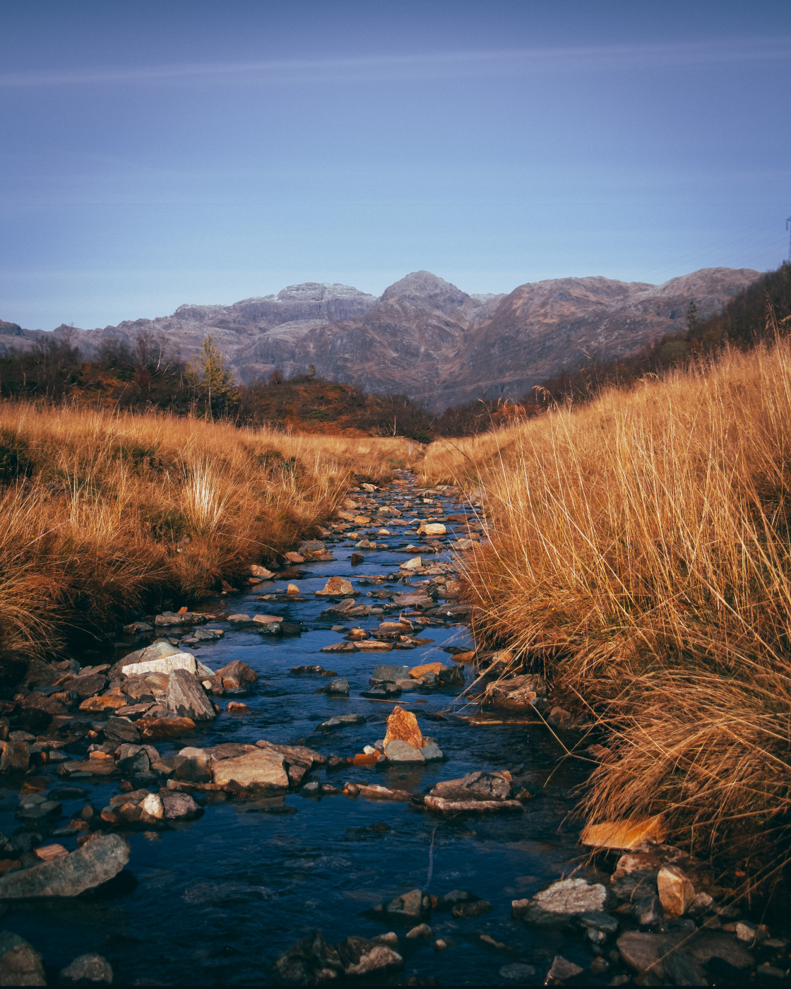 "Kvamskogen" stock image