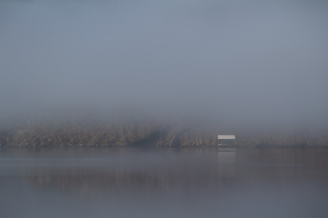 "Misty morning" stock image