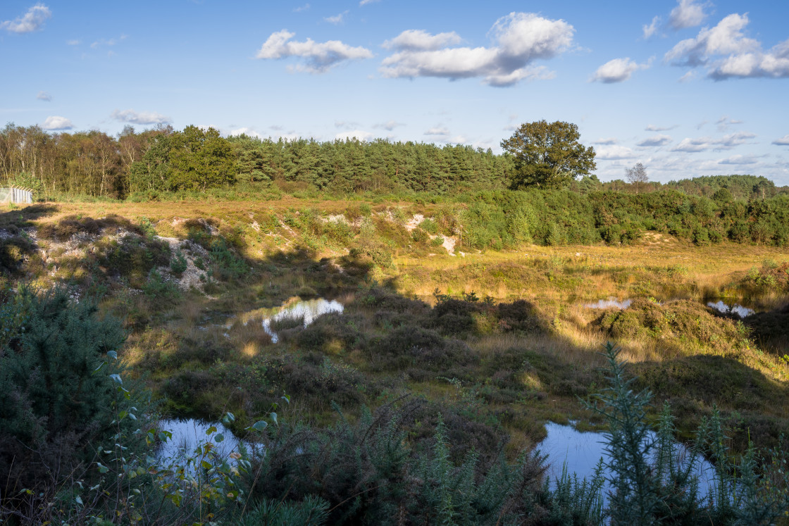 "Caesar's Camp Landscape" stock image