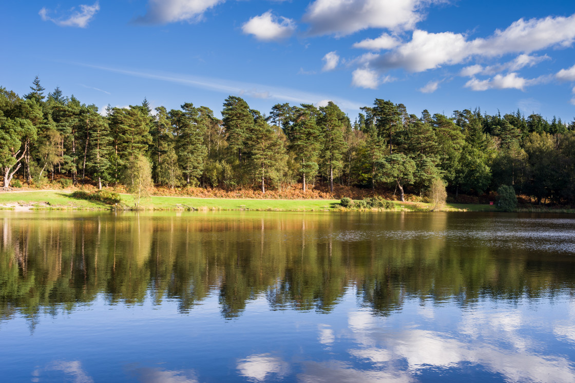 "Lake View" stock image