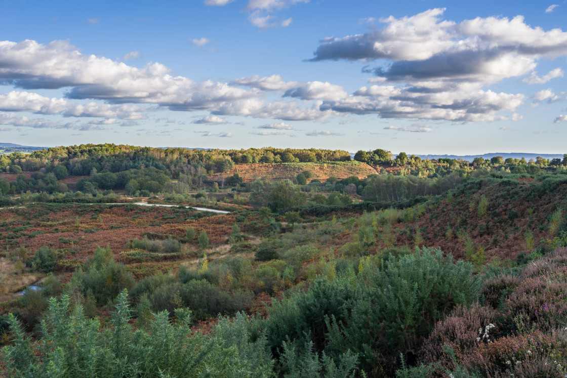 "Hill Fort Landscape" stock image