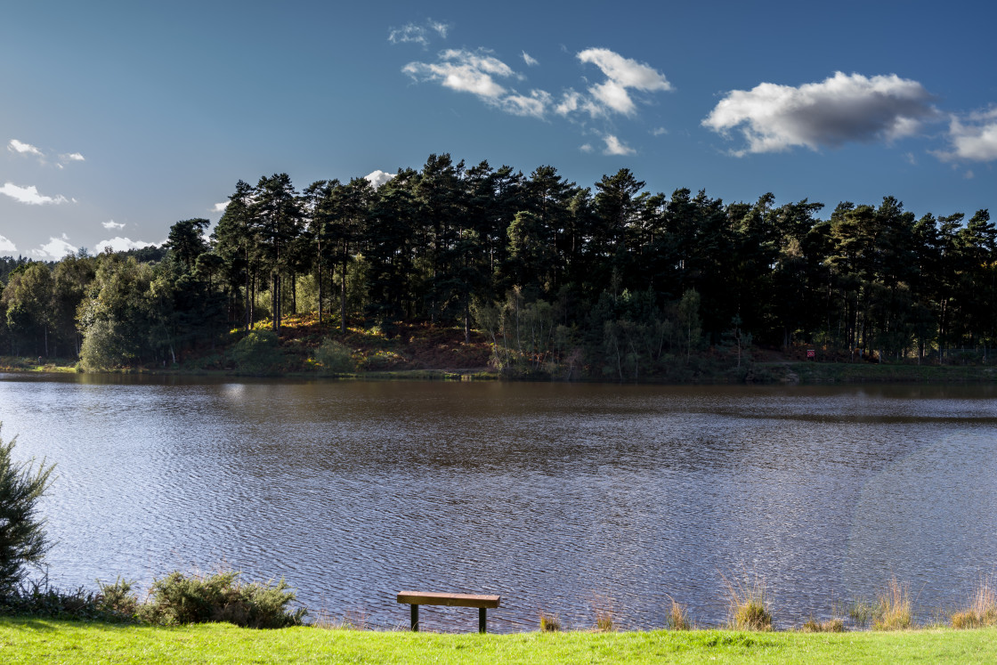 "Lake View" by Gordon England - $12.65 "Lake View" stock image