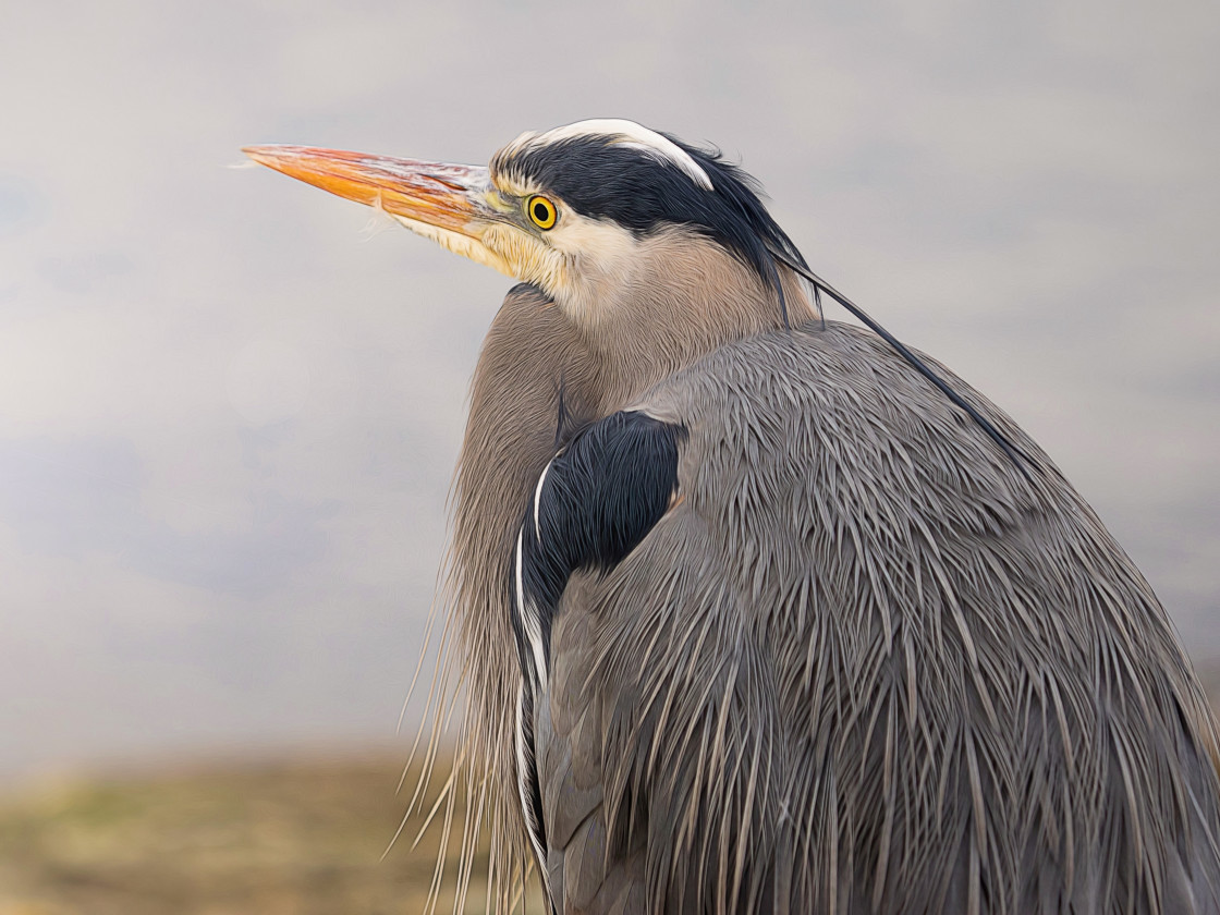 "Sitting Pretty" stock image