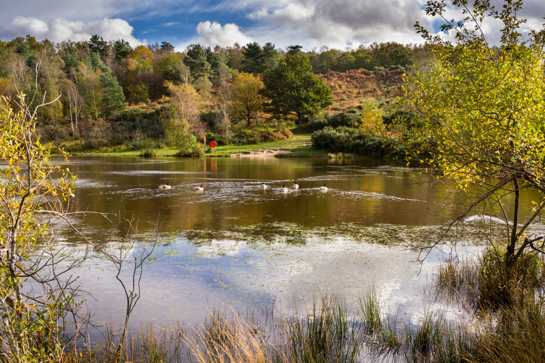 "Caesar's Camp Pond" stock image