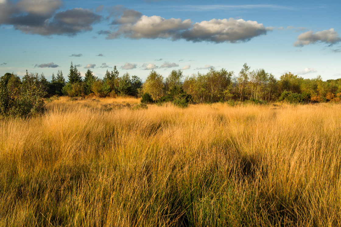 "Caesar's Camp Landscape" stock image