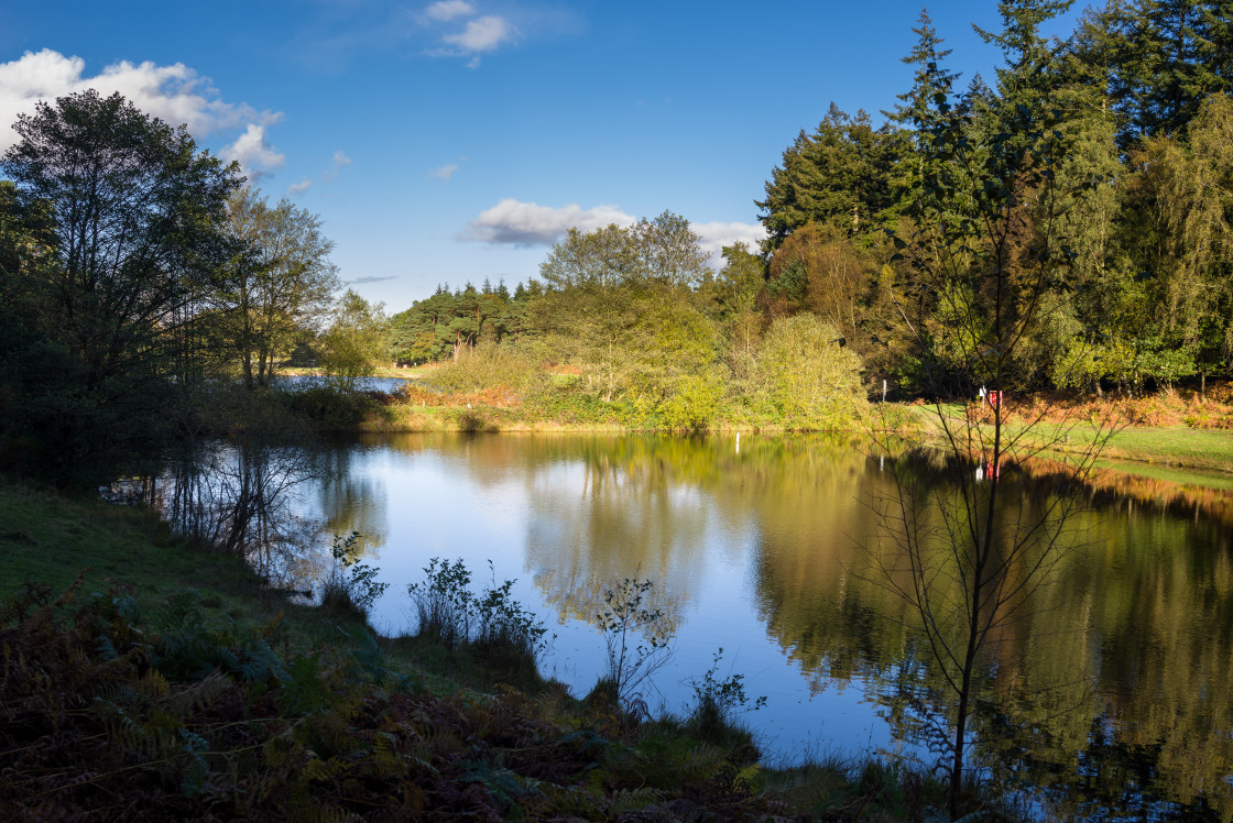 "Bourley Lakes" stock image