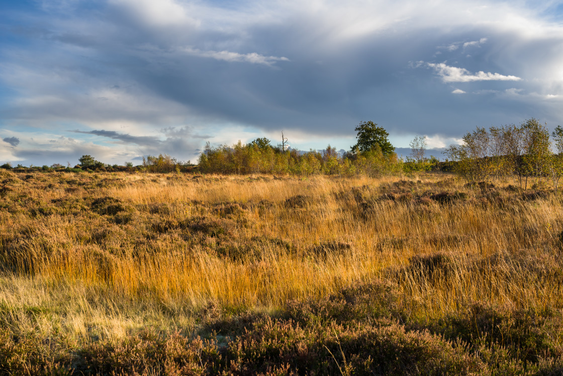 "Caesar's Camp Landscape" stock image