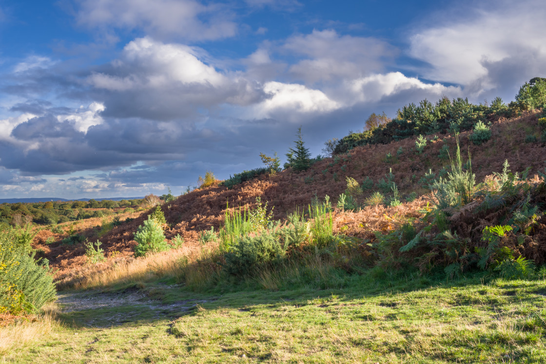 "Caesar's Camp Landscape" stock image