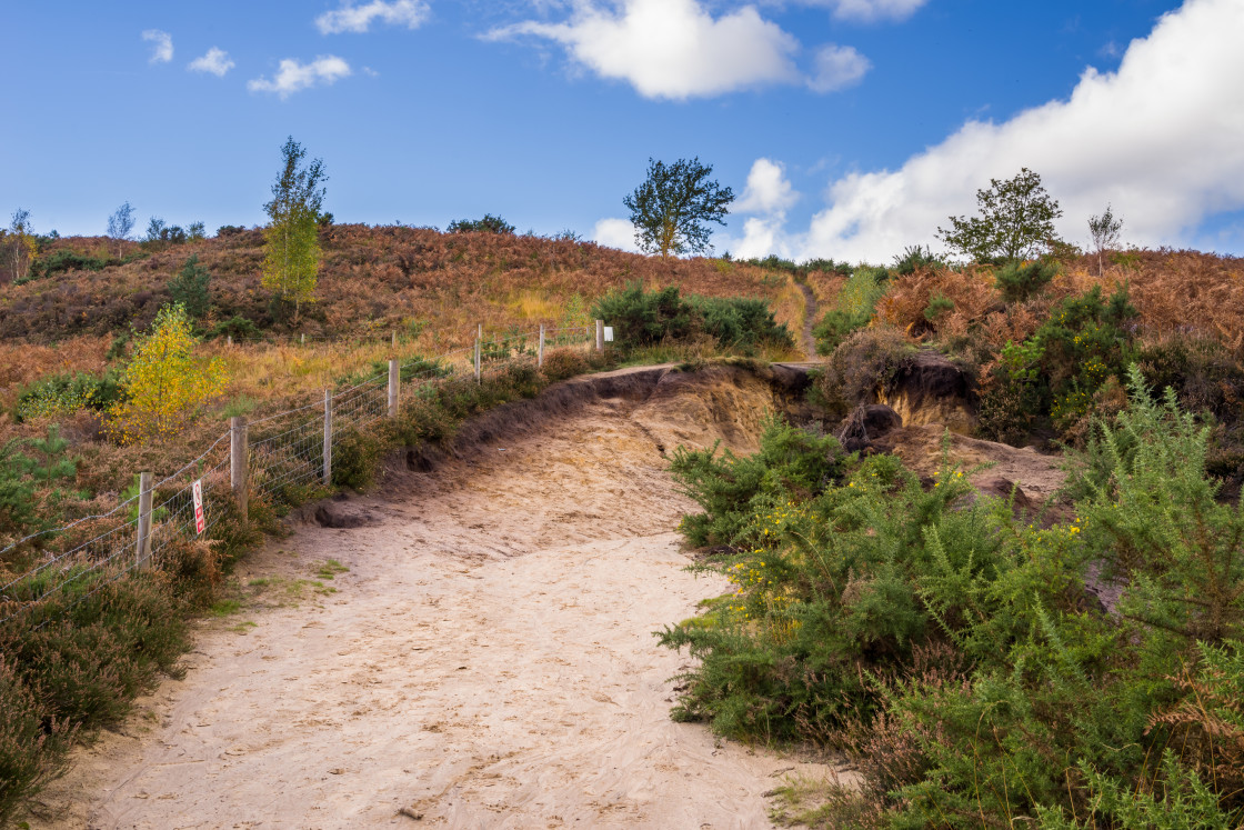 "Heathland Walk" stock image