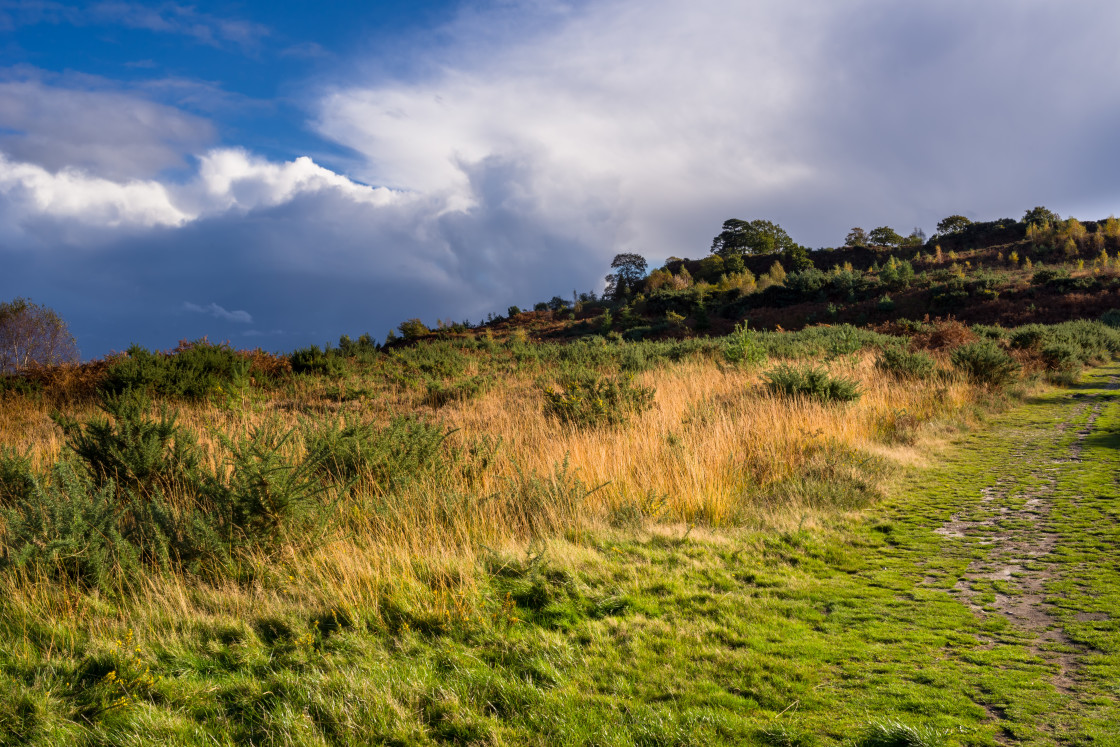 "Caesar's Camp Landscape" stock image