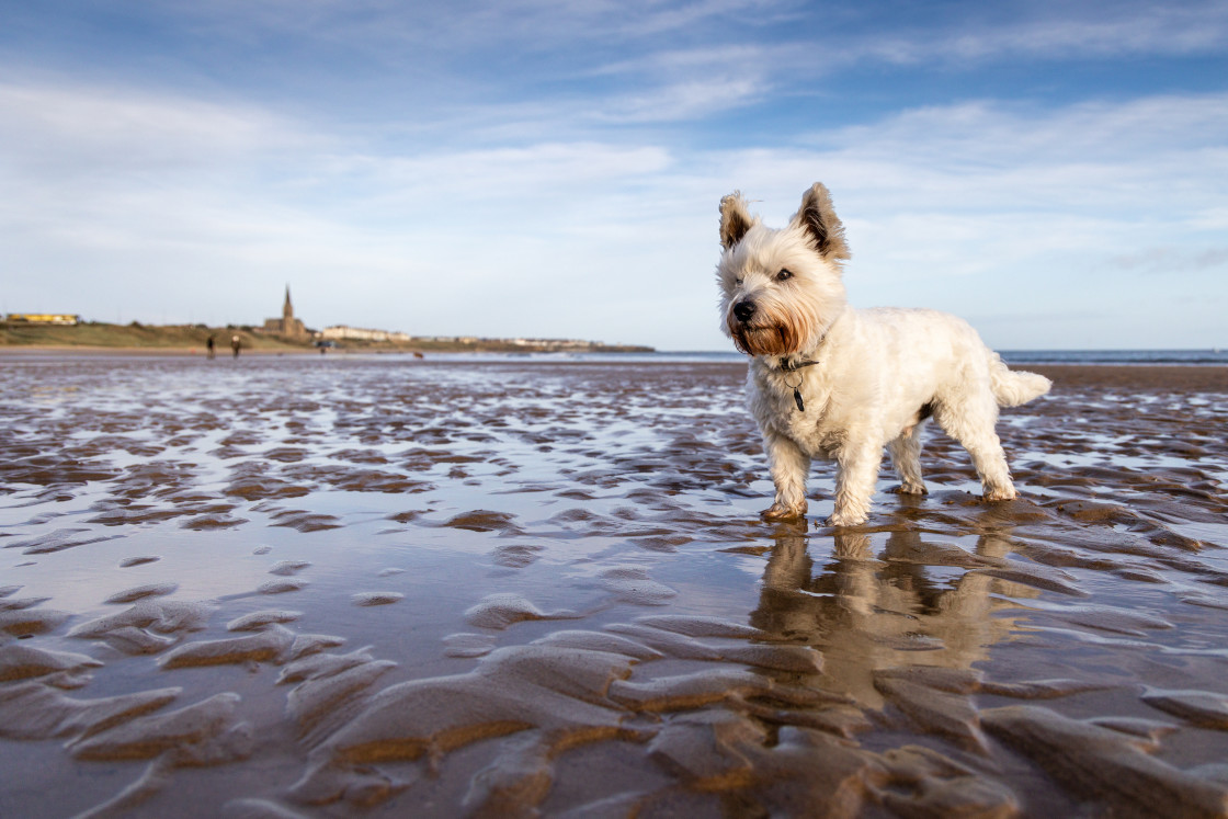 "Tynemouth Long Sands" stock image