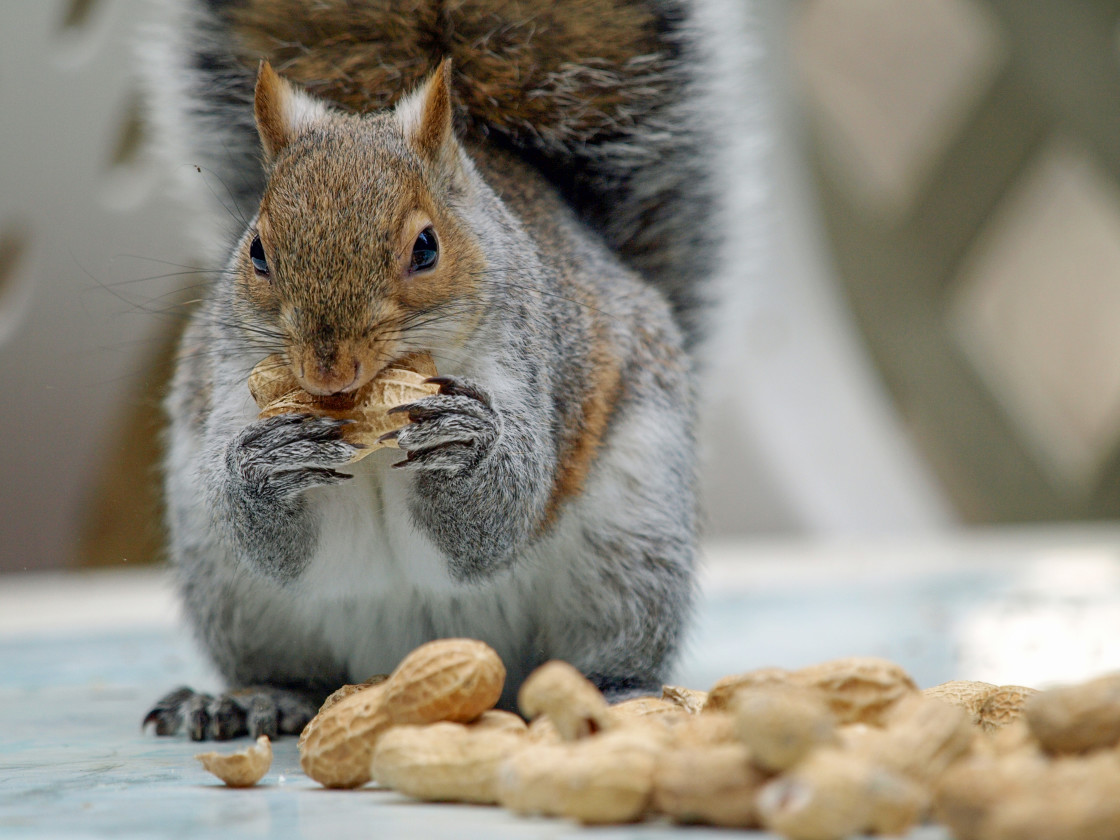 "Lunch Time" stock image