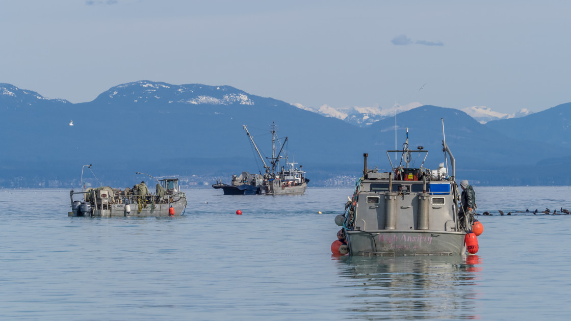 "Fishing" stock image